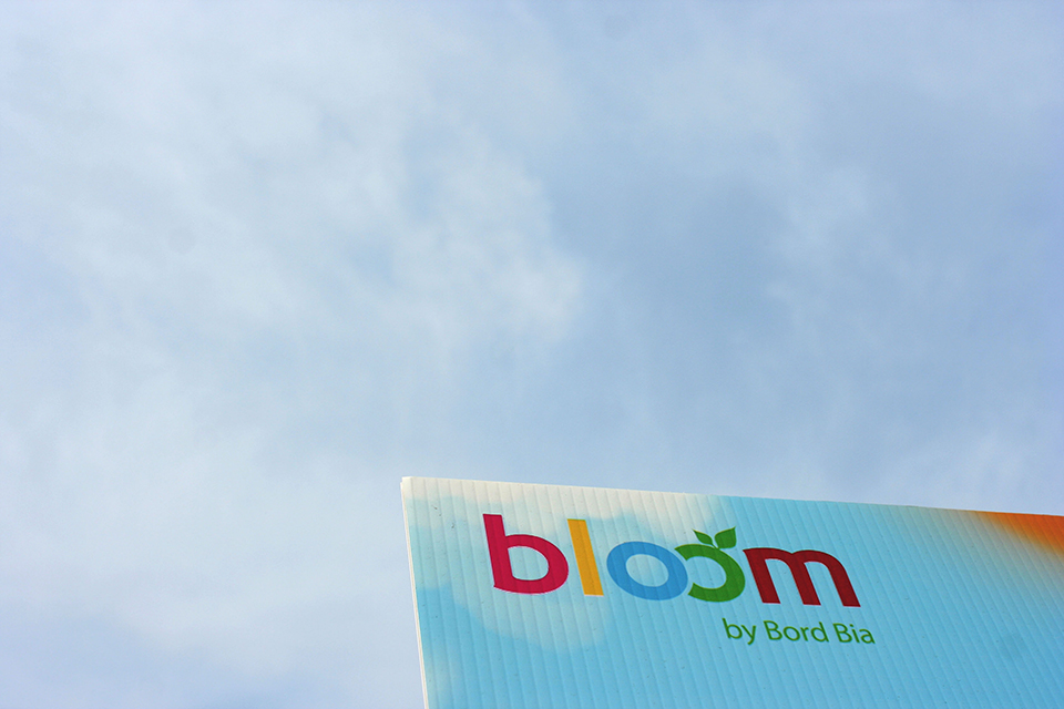 Bloom in the Park 2016    