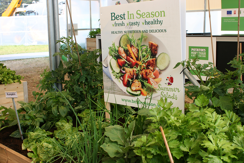 Best in season area. A very good example about food education 